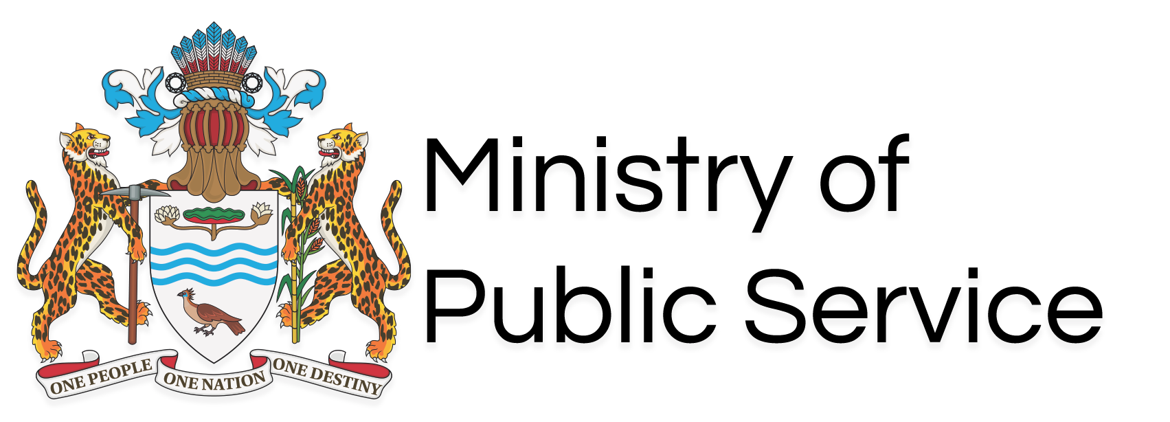 Ministry of Public Service Intranet